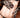 Baci 1033 Short Black Lace Gloves