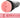 Fleshlight Pink Butt Destroya