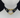 Black Collar with Gold