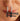 Nose Shackle