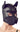 Bad Kitty - Dog Face Mask