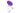 Screaming O 4T DoubleO 6 - Grape