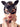 Bad Kitty Cat Mask with Rhinestones