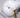 White Fox Tail with Gold Plug