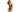 RENE ROFE SEXY CROTCHLESS LACE AND MESH TEDDY M/L - BLACK