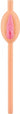 PUSSY STRAWS FLESH 8PCE